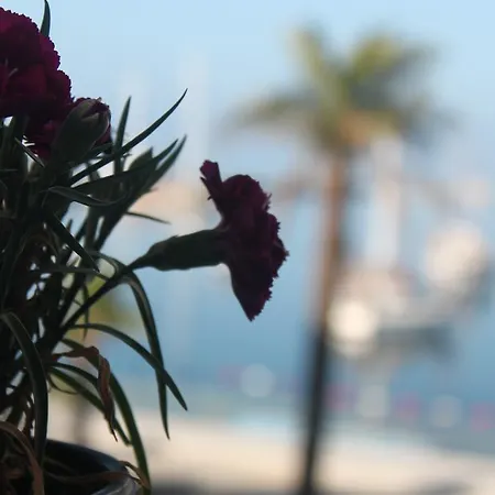 Capaci 2* ボドルム